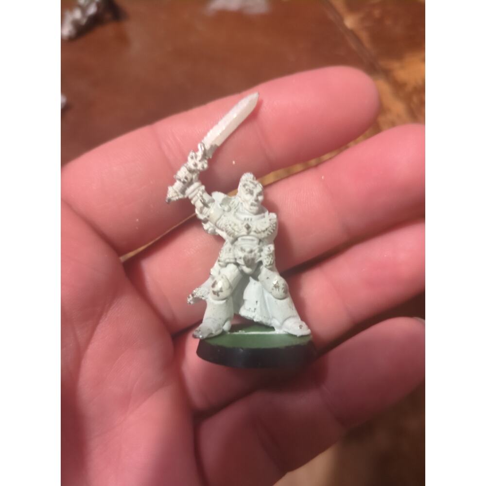 Space Wolf Grey Hunter Sargent Warhammer 40k